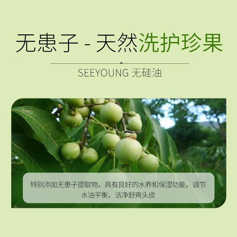 滋源(seeyoung)无患子茶籽控油去屑蓬松洗发水 无硅油生姜防脱健发洗发露套装 无患子控油洗发水470ml