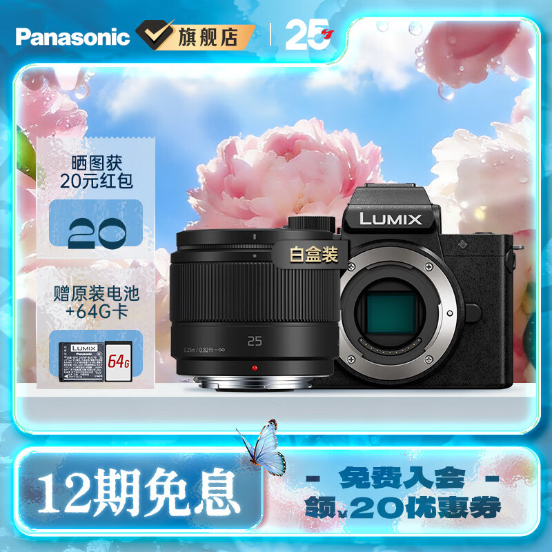 松下（Panasonic）Lumix G100D M43画幅相机 M43卡口 微单相机 无反数码相机 G100D单机+【25mmF1.7】单镜头定焦