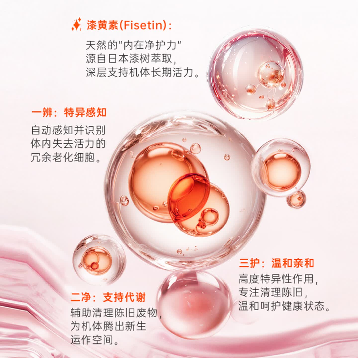 ARCWELL艾格維漆黄素胶囊99%高纯度强记忆抗衰抗氧化增强免疫促代谢进口 【老客优选|提升记忆力抗衰】 60粒*1瓶