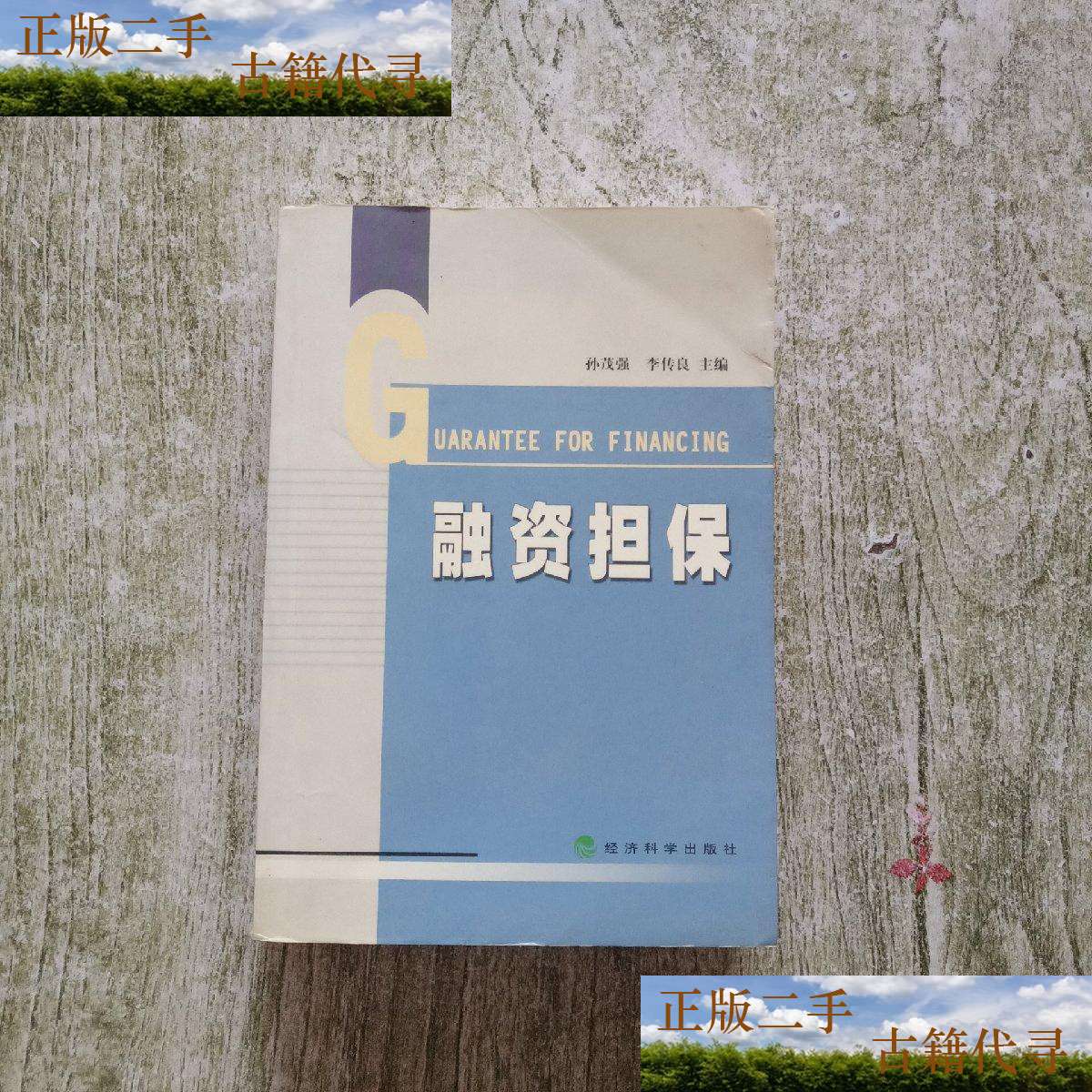 【二手9成新】融资担保 /李传良