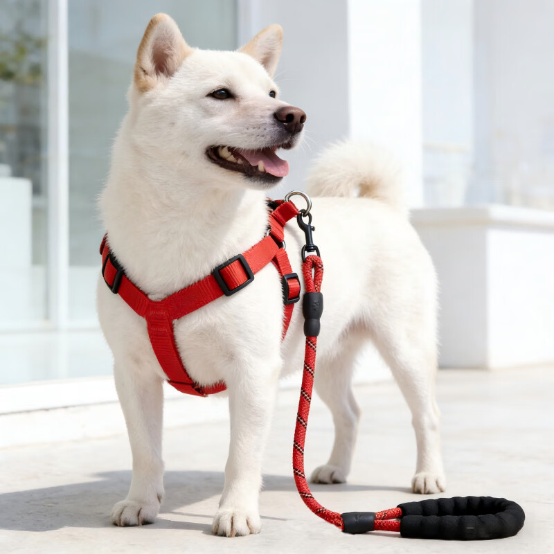 斯派科狗狗牵引绳套装遛狗栓狗绳子胸背项圈整套柯基大型犬金毛防爆冲绳 红色三件套|绳长2米+项圈+胸背 L-【18-35斤】