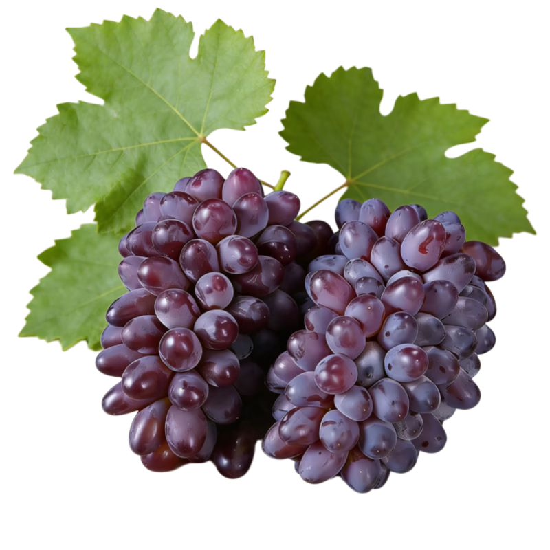 ���� �������������� A+�� ���Ѻ��� ����2.8-3.2�� 35.8Ԫ