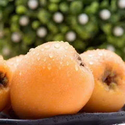 贵州高山枇杷新鲜应季水果枇杷新摘自然熟枇杷整箱直发坏果包赔 贵州高山枇杷 1斤净重小果20-30g（试吃装）