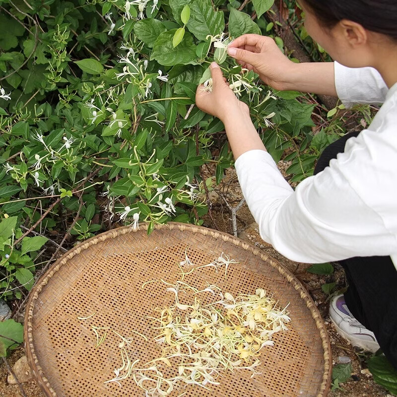 无硫野生金银花正品忍冬花山银花晒干精选清凉正品干花泡水喝清凉 野生金银花【无硫】 500g*1袋
