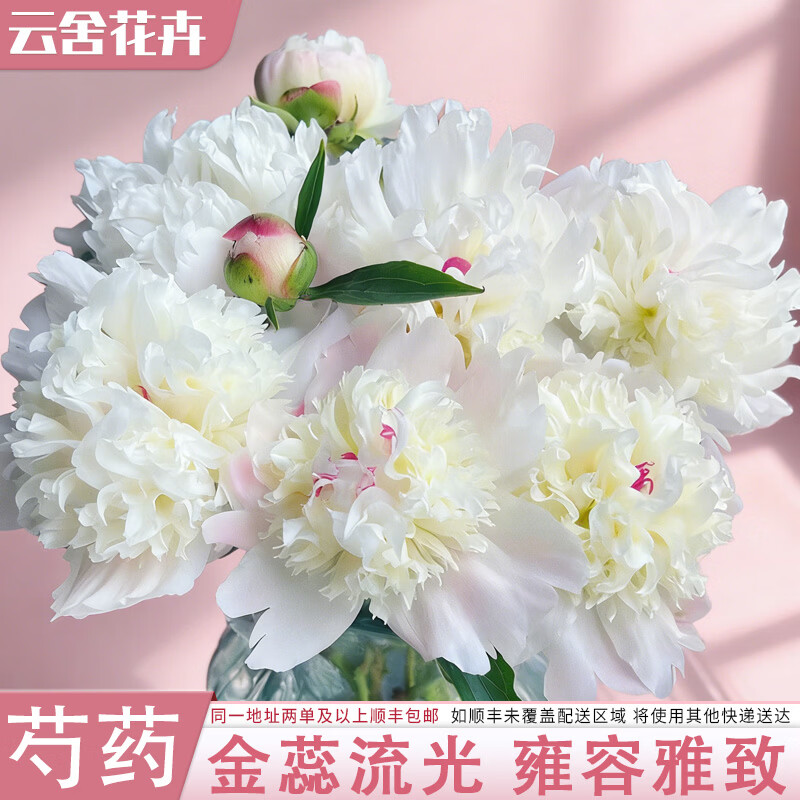 云舍花卉凤羽落金池芍药5支仅需14.9元