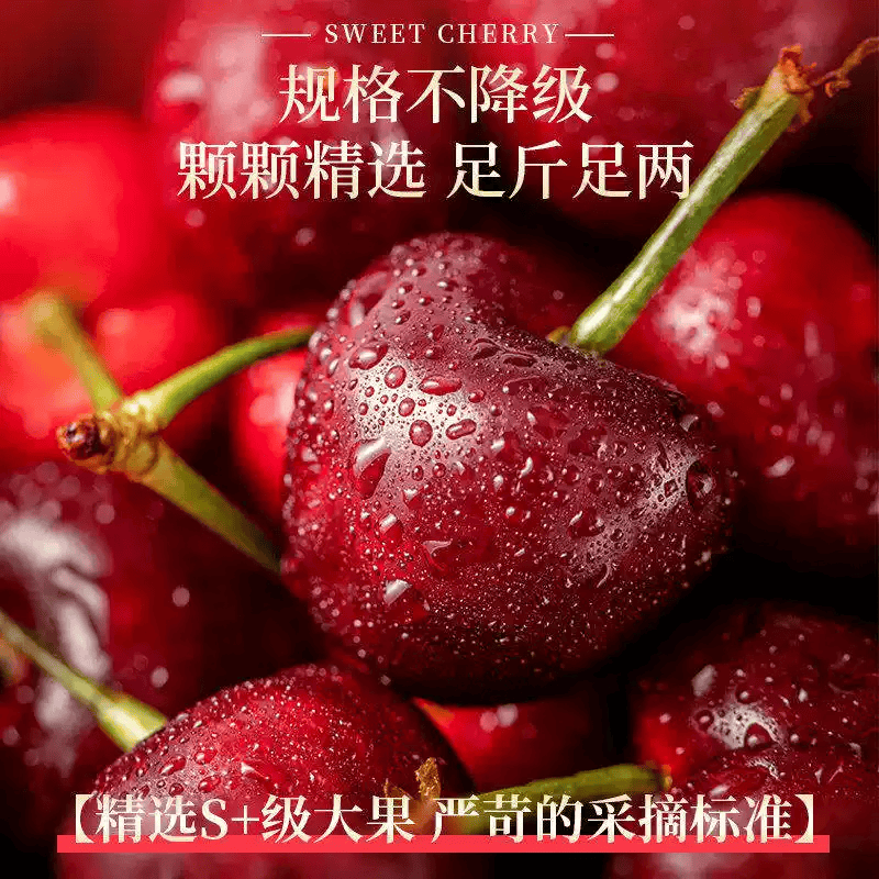 鲁禧海岸头茬大樱桃 新鲜水果 国产车厘子 山东樱桃 当季时令生鲜 端午节 4斤(净重) 带箱5斤家庭装 优选果22-26mm