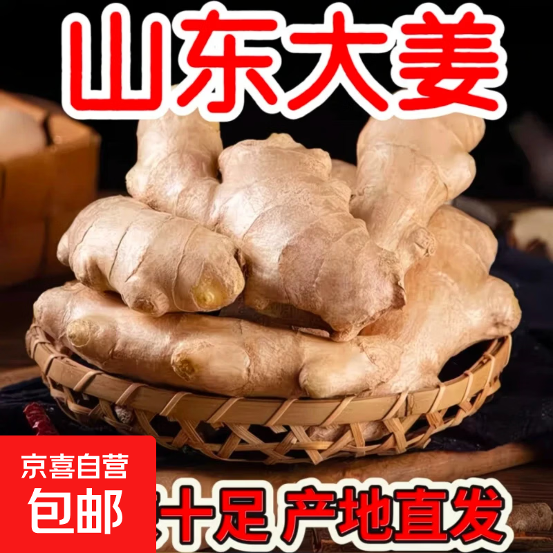 【东东买菜】山东窖藏大黄姜新鲜风干生姜老姜沙姜月子姜农家现挖 【新人尝鲜装】净重240g精选山东大姜