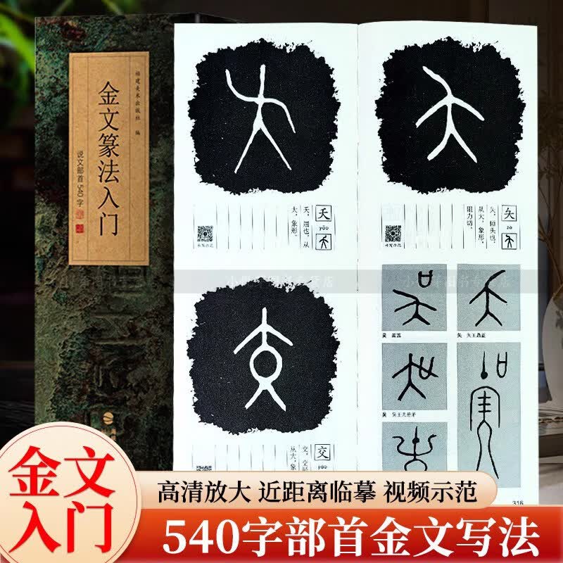 琛然金文篆法入门 王福庵说文部首540字 大篆结合篆书篆刻学生初学者篆书入门毛笔书法字帖碑帖临摹教程工具书字典 福建美术出版社 金文篆法入门：说文部首540字