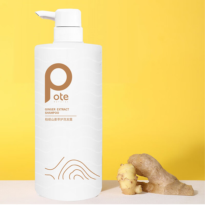 柏缇山姜萃护洗发露清洁油脂柔顺秀发清爽蓬松洗发水大容量装家庭男女