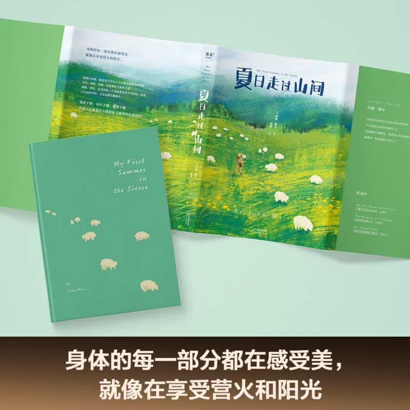 夏日走过山间 约翰·缪尔 多幅手绘图监 美国国家公园之父 植物学 自然文学 自然科普 美文 果麦出品 夏日走过山间