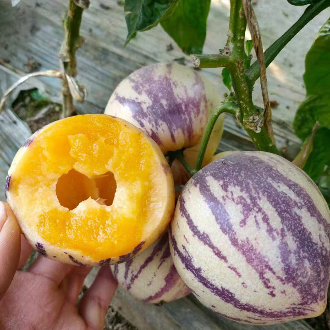 甘肃民勤应季水果黄肉长果人参果新鲜低糖当季 4.6-4.8斤带箱大果 京东折扣/优惠券