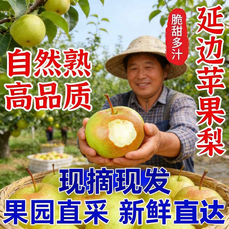 现摘现发一整箱10斤正宗延边苹果梨当季现摘现发皮薄肉厚新鲜 约带箱10斤（净重8.5斤起）