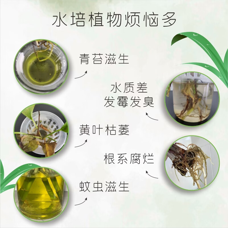 摩登农夫合先青苔净化液水培护根净水防蚊防菌病毒 100ml