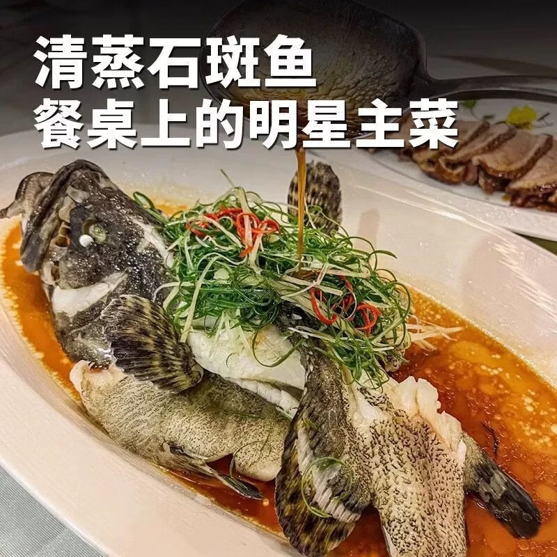 添渔港新鲜石斑鱼老虎斑珍珠斑活鱼冷冻大号整鱼深海海捕海鲜龙胆石斑鱼 【1条装】500-600g