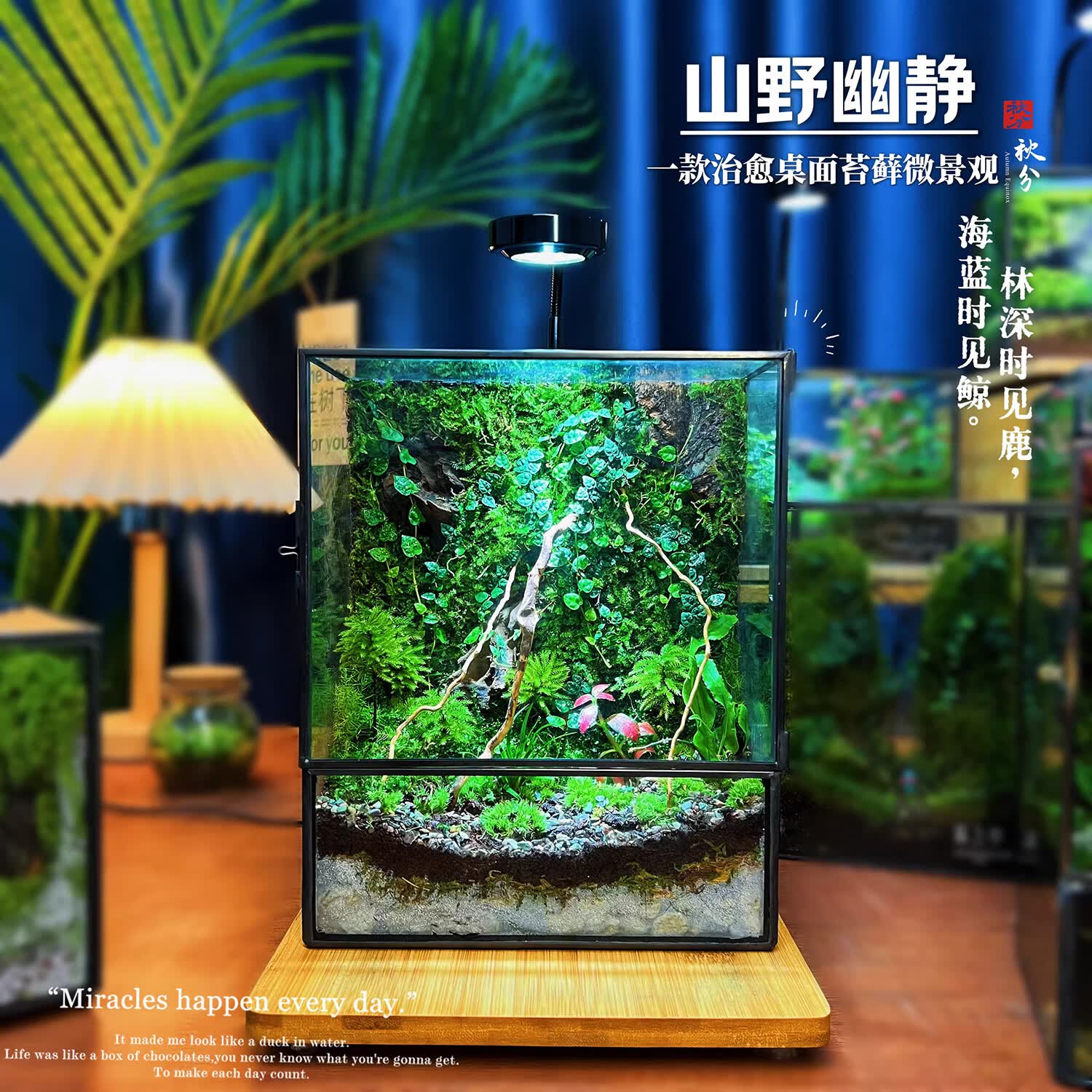 封茗网红趣味桌面绿植摆件苔藓微景观生态缸懒人养护生态闷养盒创意 精灵旅馆】升级版+植物灯