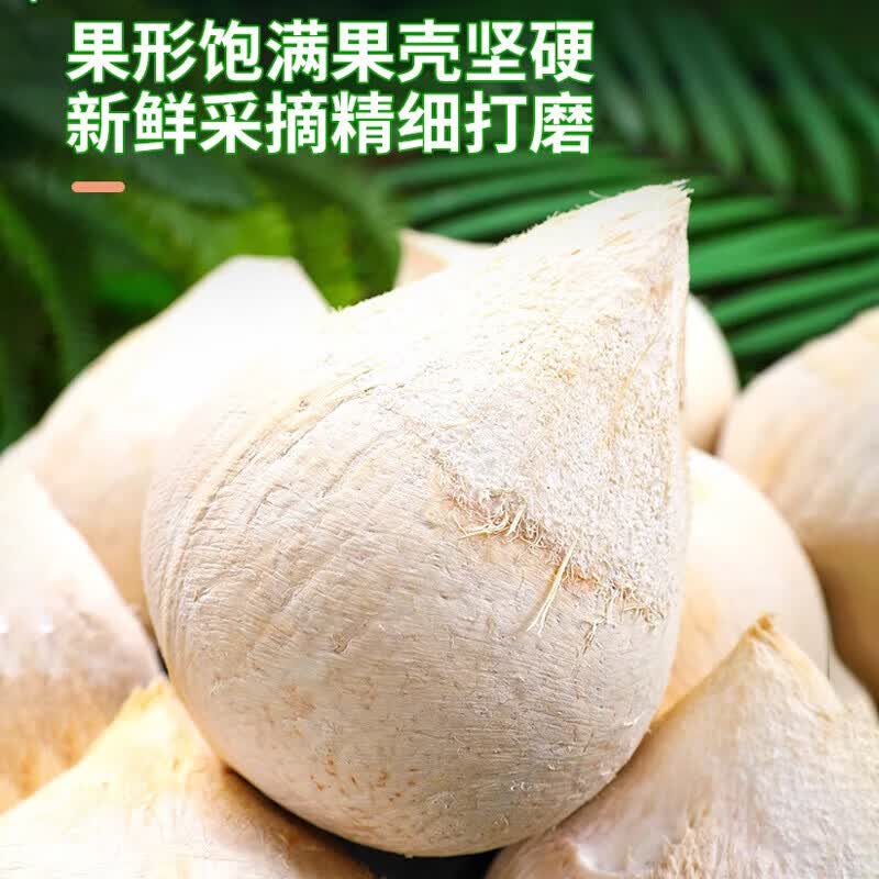鲜宝道海南新鲜椰皇当季水果 9个椰皇单果300克起