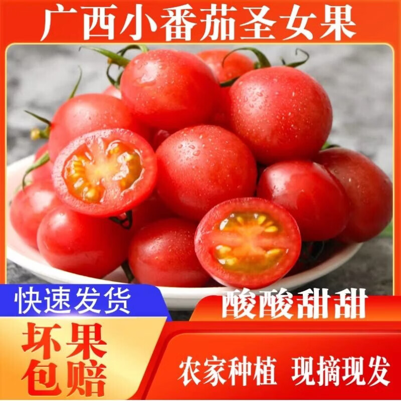 小番茄正宗新鲜圣女果小西红柿孕妇应季现摘水果蔬菜生吃非千禧果 3斤 精选小果丨泡沫箱发货丨单果5克起