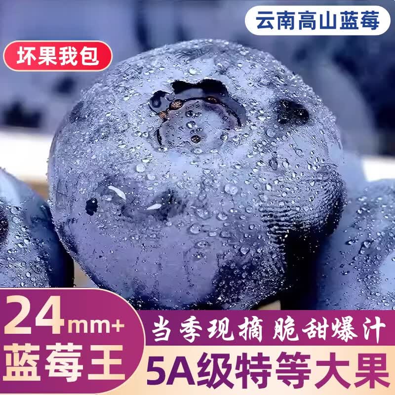 头茬大蓝莓云南高山花香蓝莓鲜果25特大果怡佳颗沃应当季水果整箱 蓝莓礼盒12盒18mm+【单盒125g】 1盒