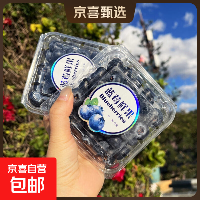 京喜加云南蓝莓鲜果花香蓝莓新鲜水果蓝莓礼盒装新鲜现摘单盒净重70g+ 花香蓝莓18mm+ 4盒装（