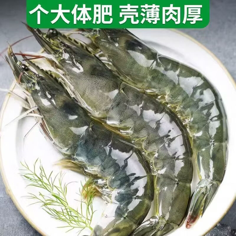 冰鲜部族国产青岛大虾白虾青虾基围虾鲜虾冷冻生鲜虾类鲜活特大海捕整箱装 【20/30规格】新鲜海捕大虾 3斤(净重) 超大超肥