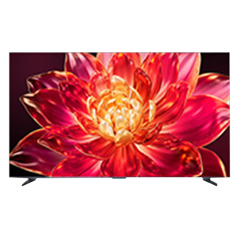 ���� E5Q Pro 55Ӣ����� 55E5Q Pro3399.15Ԫ