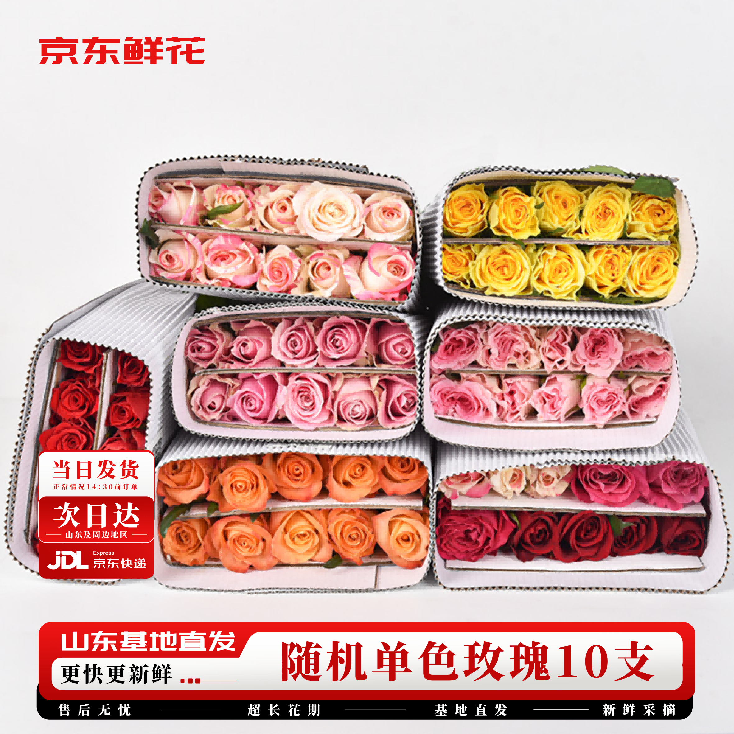 京东鲜花随机玫瑰10枝40cm起鲜切花礼品节日基地新鲜现采花期超长源头直发