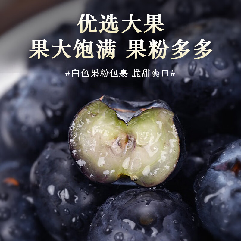 硕莓遂禧正宗云南蓝莓 新鲜水果应季现摘 8盒装*100g 单果12mm+