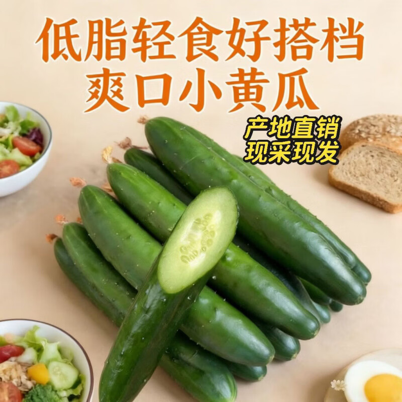 精选水果当季黄瓜农家应季现摘蔬菜新鲜水果黄瓜爽口绿心脆甜减脂 现摘精选品质 5斤 净重