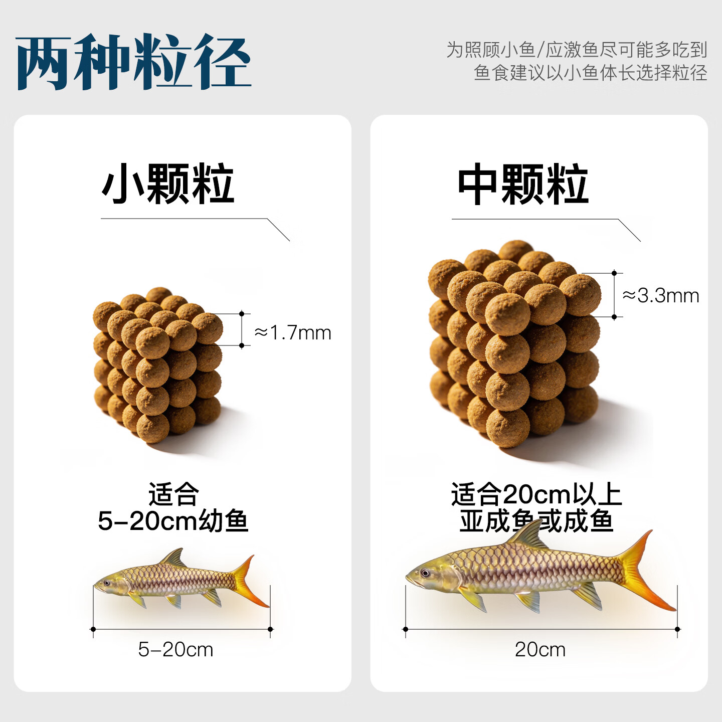 吉罗鱼饲料宝山异口蓝巴拉红盈江金吉罗高蛋白鱼粮鱼食 40%蛋白-育成小颗粒（≈1.7mm）500g*1袋