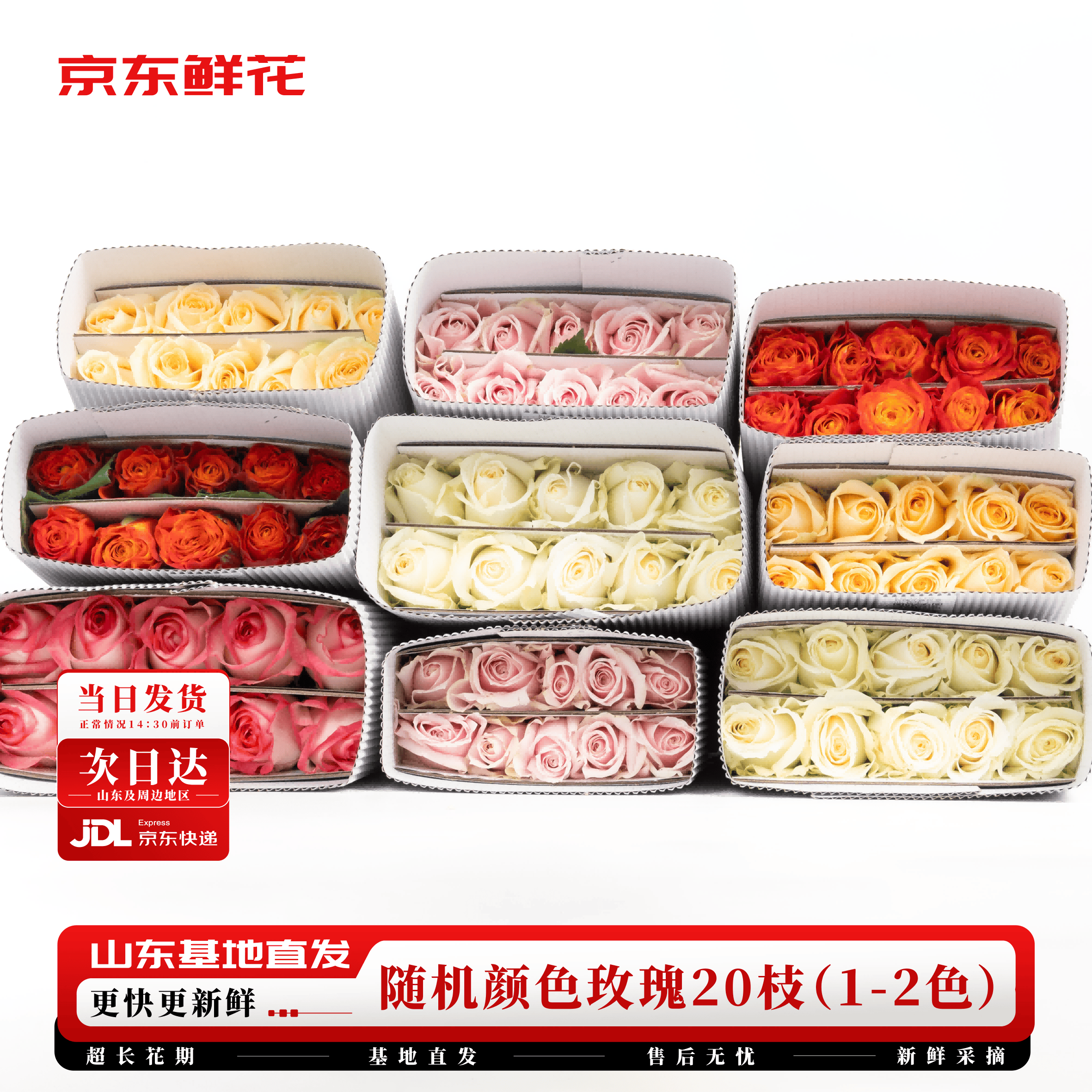 京东鲜花玫瑰花随机颜色20枝(1-2种颜色)鲜切花新鲜生活花束插花源头直发