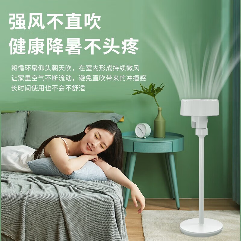 大宇空气循环扇遥控电风扇落地家用摇头电扇涡轮换气扇循环对流风扇落地扇台地两用 X1白色机械款