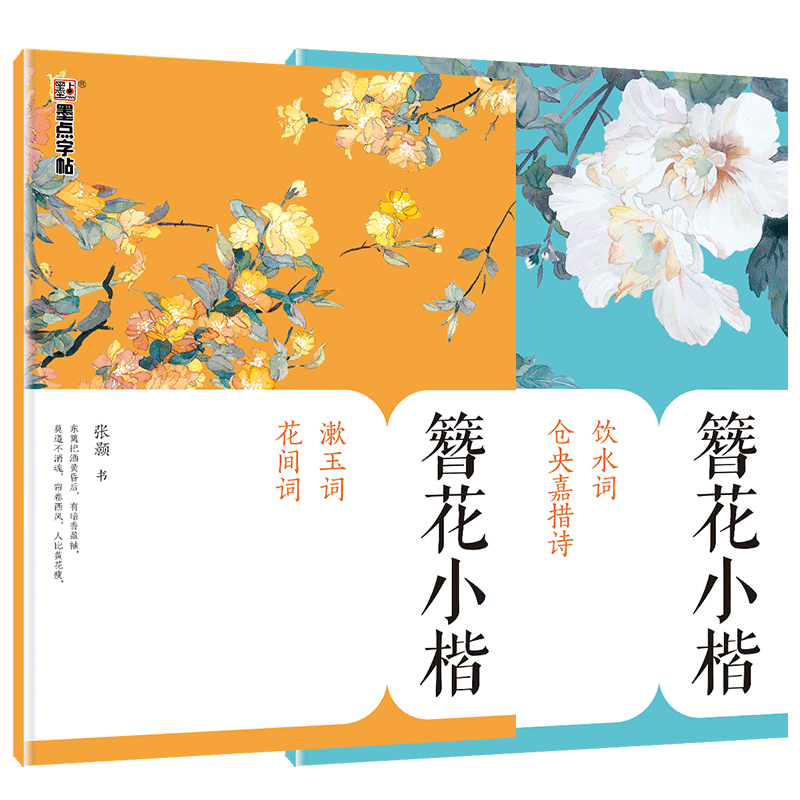 墨点字帖 簪花小楷练字帖古诗词钢笔字帖初学者硬笔书法练字本楷书字帖国学经典练字速成手写体字贴（2册）