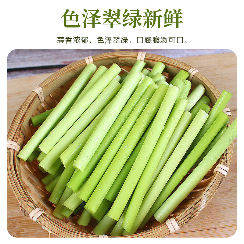 莎凰河南农家蒜苔新鲜采摘蒜苔 新鲜3斤蒜薹