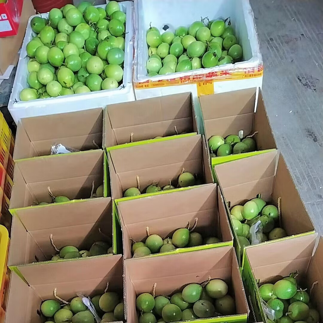 百香果  黄金百香果  广西百色百香果  钦蜜九号   一箱9斤装 中大果