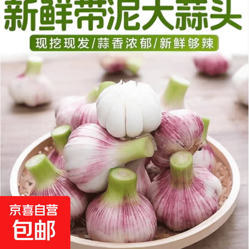 带泥大蒜头5斤含箱 9.9元 - 线报酷