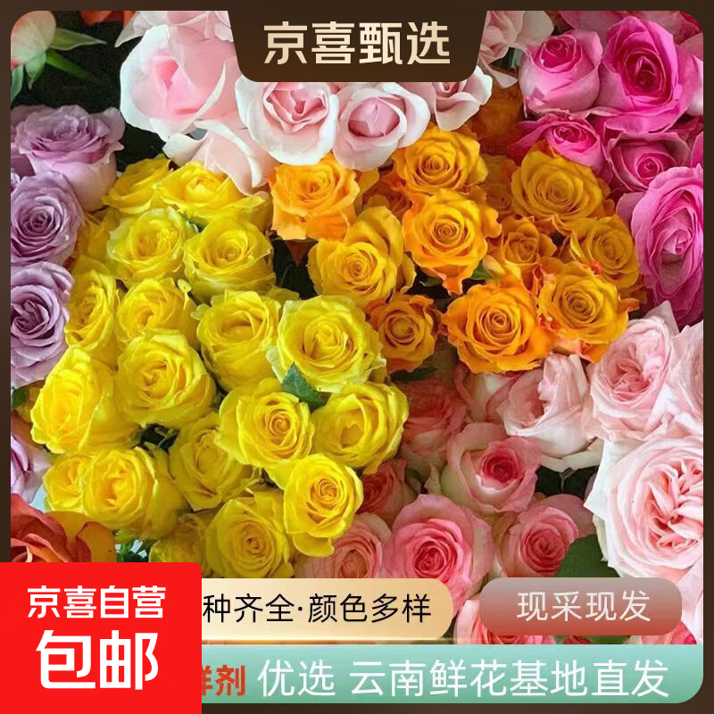 【玫瑰】云南鲜花基地直发玫瑰花鲜切水养38妇女节女神节 方德35-40cm随机玫瑰10支