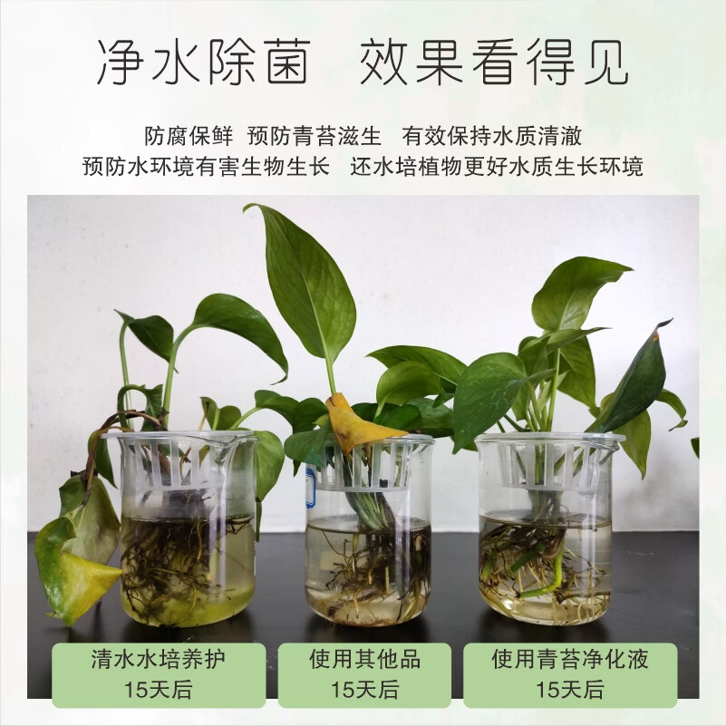 摩登农夫合先青苔净化液水培护根净水防蚊防菌病毒 100ml