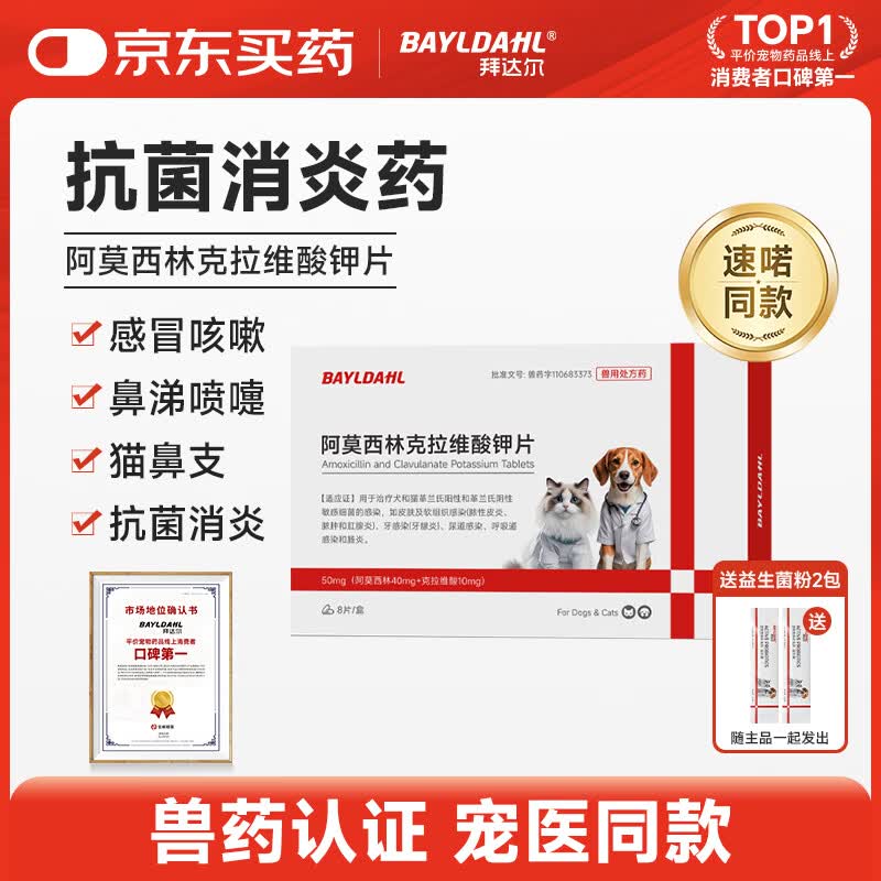 拜达尔【速喏】同款阿莫西林克拉维酸钾片宠物猫咪狗狗咳嗽感冒药消炎药