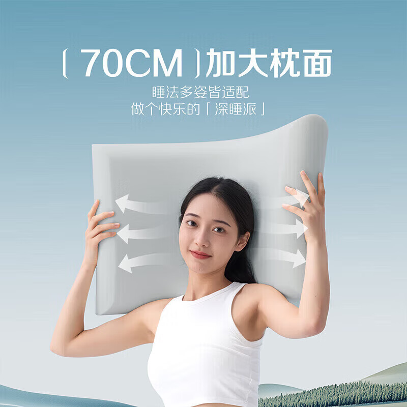 百丽丝枕头2025新款深睡记忆枕枕芯慢回弹a类品质7A级枕头单人枕 深睡记忆枕 42cm ×70cm×8cm
