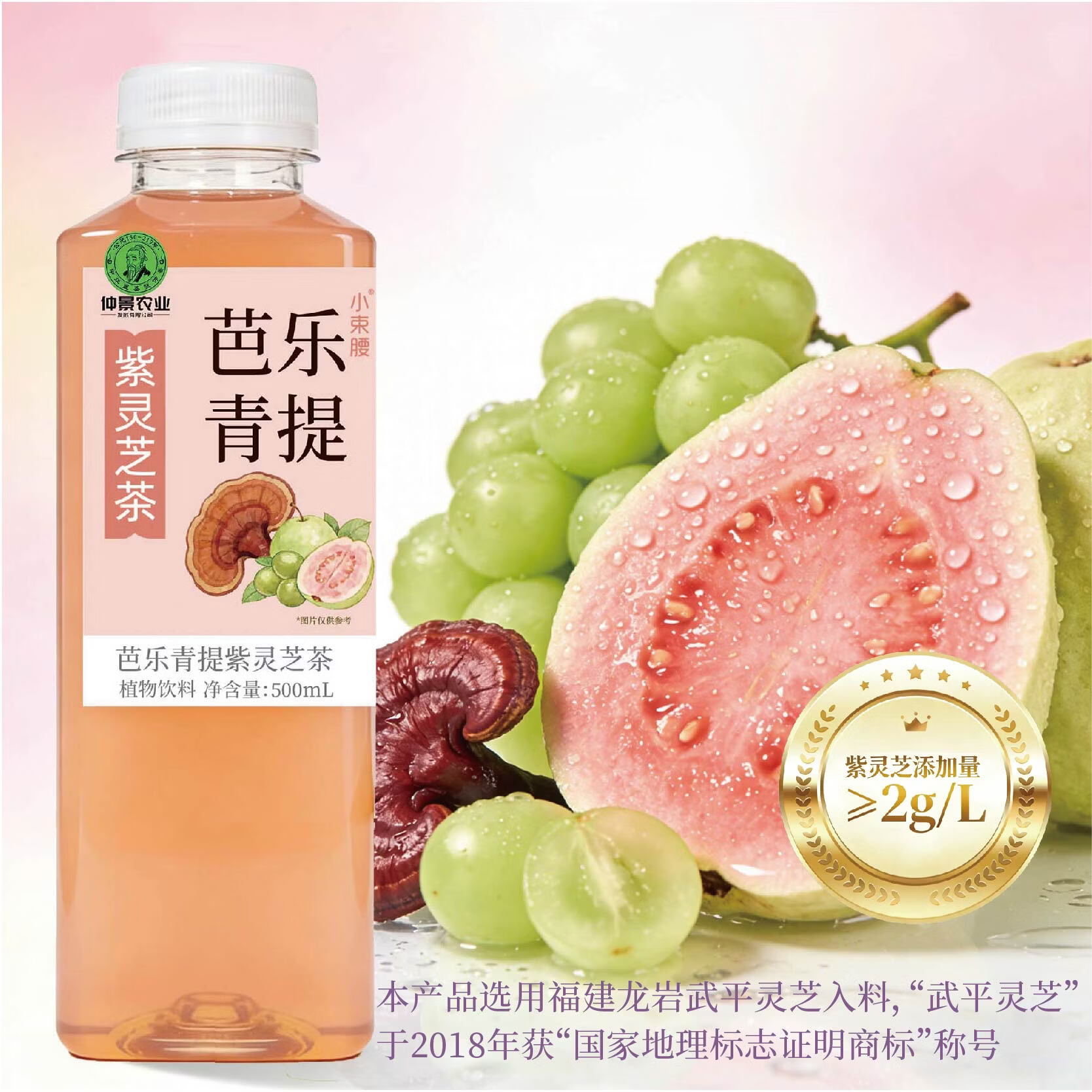 仲景小束腰粉芭乐青提果汁紫灵芝茶植物饮料500ml便携装 粉芭乐青提 5瓶
