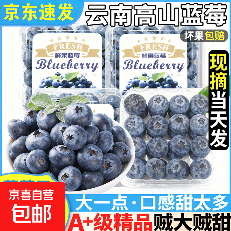 云南花香蓝莓【JD速发 多地次日达】现摘高山蓝莓超大果整箱 2盒装【单果18-20mm】125g/盒(净100g)