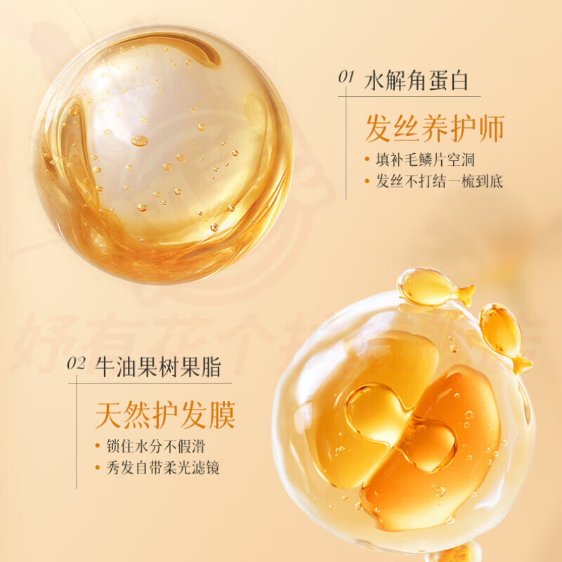 熏姿颜多凡草本韧发洗发露生姜植萃防脱防断育发固发滋养发根控油蓬松 5瓶巩固装【持证防脱】 官方自售