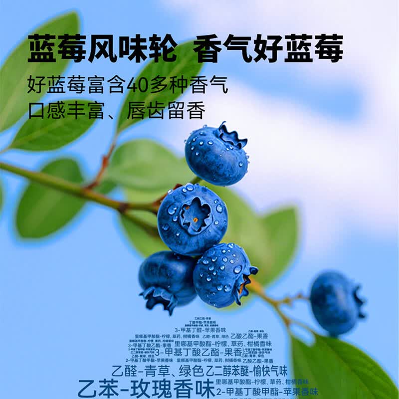 佳沃焕鲜香气蓝莓汁100%果汁饮料饮品零食聚会花青素宝妈青少年 果香浓郁 200ml*24盒