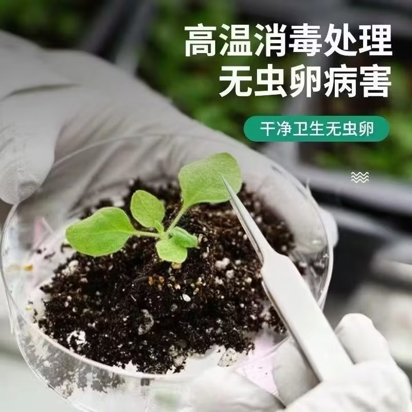育苗专用土育苗营养土基质土营养杯种蔬菜有机肥料播种用土种植土 十斤