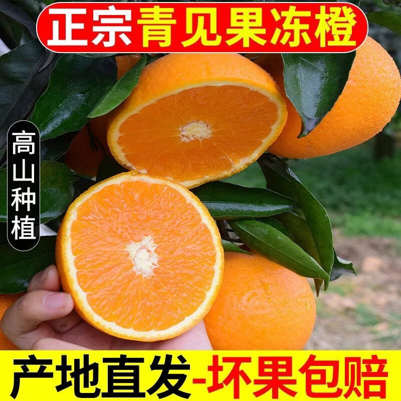 春公子四川青见果冻橙子应季新鲜水果手剥橙子孕妇手剥橙 带箱3斤【精品特大果80-85mm】 正宗四川青见果冻橙