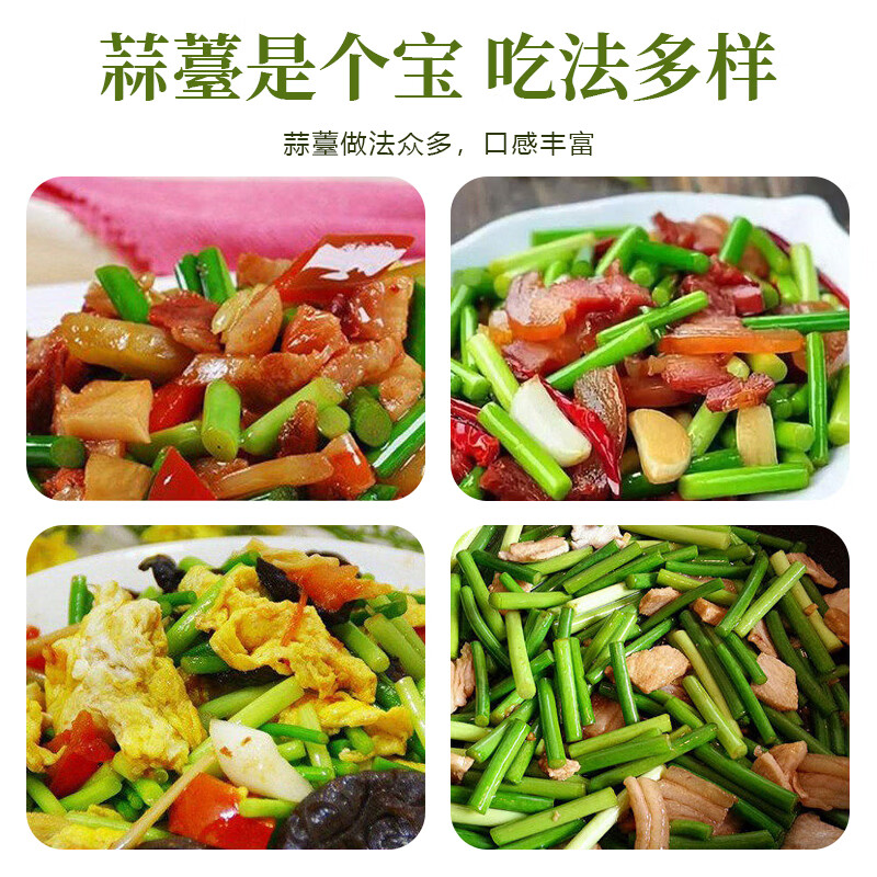 2026年蒜薹 新鲜现摘现发 生鲜蔬菜 产地直发 清炒凉拌 新鲜蒜薹净重3斤