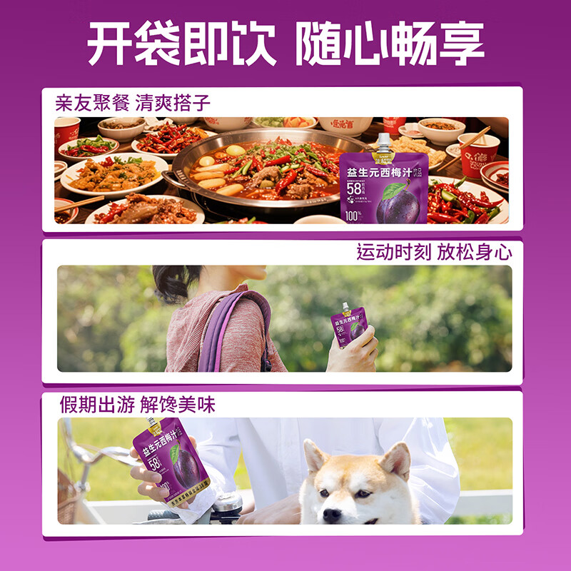 生和堂益生元西梅汁 6种益生元膳食纤维0脂果蔬饮品 10袋益生元西梅汁