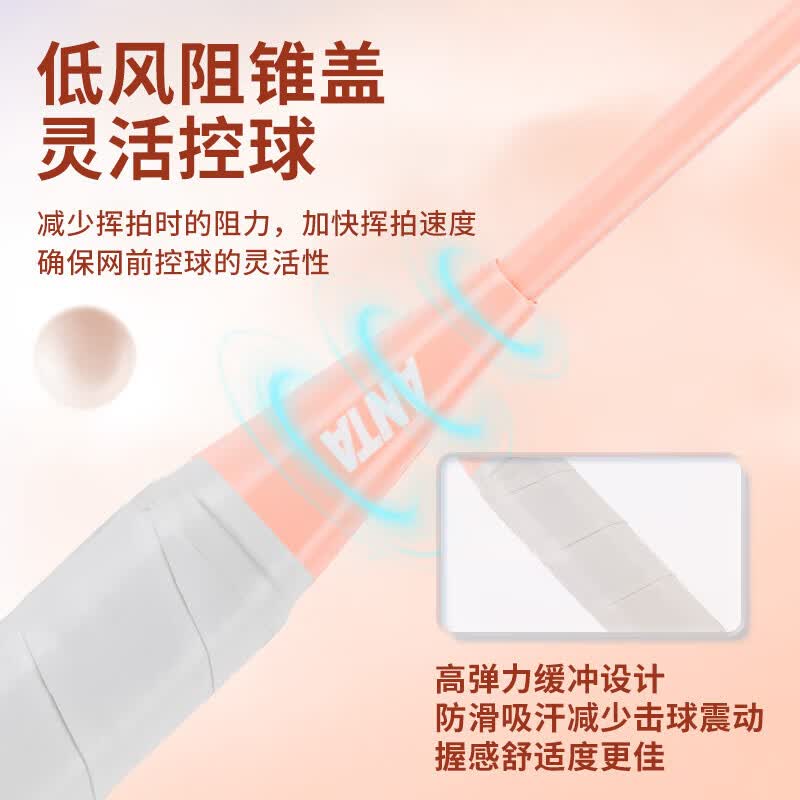 ANTA安踏(ANTA)羽毛球拍专业级碳素超轻耐打对拍羽毛球球拍蓝白粉白 超轻训练碳素【单拍】【赠六球+2手胶+球包】