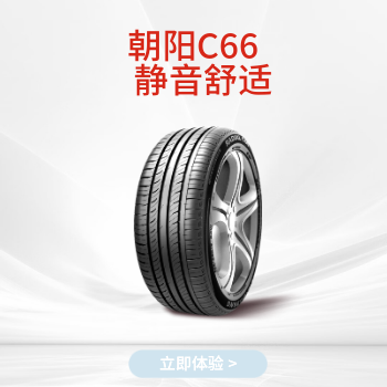 朝阳1号 轮胎标杆