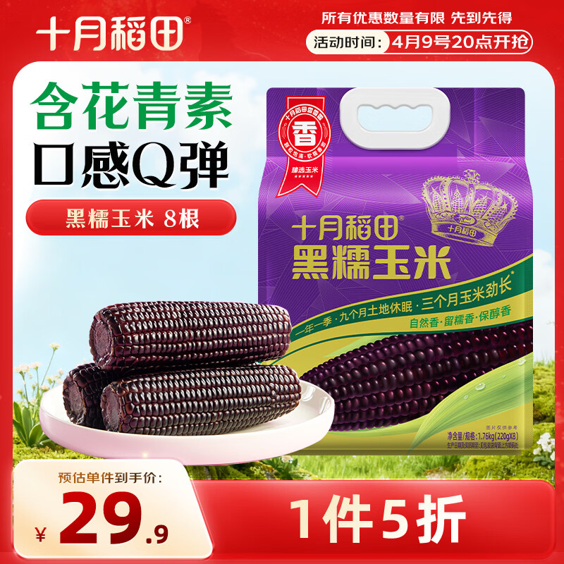 十月稻田 黑糯玉米 3.52斤(220g*8根) 东北玉米 杂粮粗粮 低脂早餐